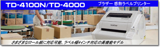 TD-4000/TD-4100N